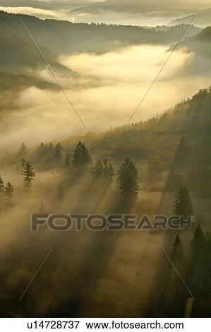 Morning mist and trees in autumn, Saar Valley, Mettlach, Saarland, Germany View Large Photo Image Stock Photo - Morning mist and trees in autumn, Saar Valley, Mettlach, Saarland, Germany. Fotosearch