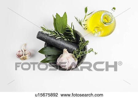 Mortar and pestle with garlic and herbs and olive oil View Large Photo Image Stock Image - Mortar and pestle with garlic and herbs and olive oil. Fotosearch