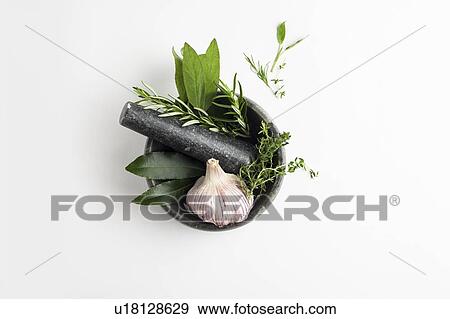 Stock Photo - Mortar and pestle with garlic and herbs. Fotosearch