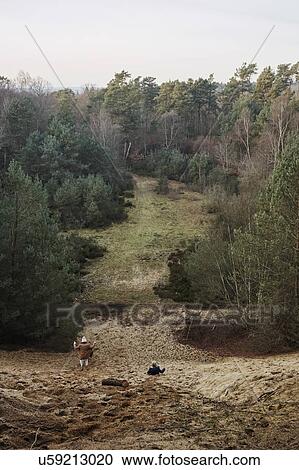 Mother and daughter exploring forest, Normandie, Orne, France View Large Photo Image Stock Image - Mother and daughter exploring forest, Normandie, Orne, France. Fotosearch