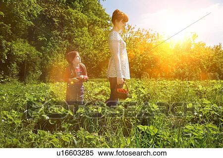 Stock Photography - Mother and daughter in strawberry field. Fotosearch