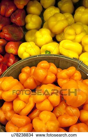 Picture - Multicolored capsicum on display in market. Fotosearch