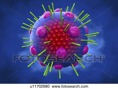 Stock Image - Myxovirus, illustration. Fotosearch