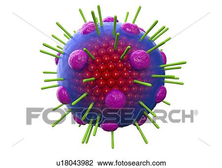 Stock Image - Myxovirus, illustration. Fotosearch