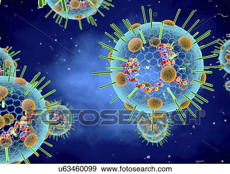 Myxovirus, illustration View Large Photo Image Stock Photo - Myxovirus, illustration. Fotosearch