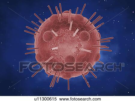 Stock Photography - Myxovirus, illustration. Fotosearch