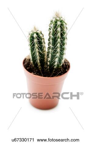 View Large Photo Image Stock Image - . Fotosearch