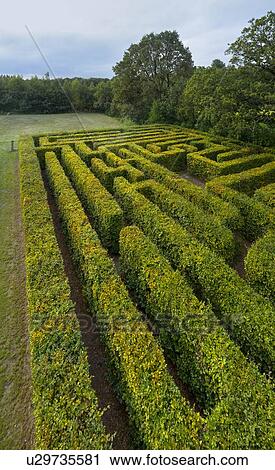 Stock Image - Old labyrinth at dawn, Klein-Zundert, Noord-Brabant, Netherlands. Fotosearch