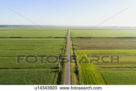 Stock Image - Old polders on sunny day, Eemnes, Utrecht, Netherlands. Fotosearch