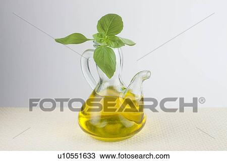 Olive oil and fresh basil View Large Photo Image Stock Image - Olive oil and fresh basil. Fotosearch