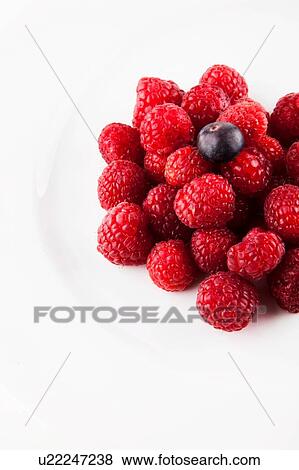 One blueberry on bed of raspberries View Large Photo Image Stock Photo - One blueberry on bed of raspberries. Fotosearch