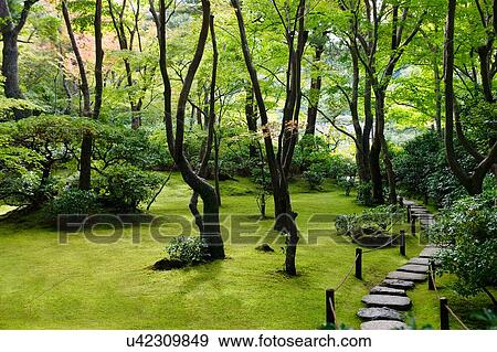 Path in Japanese garden View Large Photo Image Stock Photo - Path in Japanese garden. Fotosearch