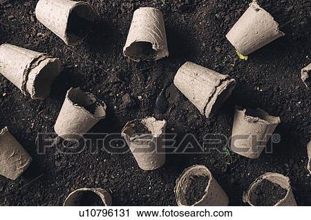 Peat pots and soil View Large Photo Image Stock Image - Peat pots and soil. Fotosearch