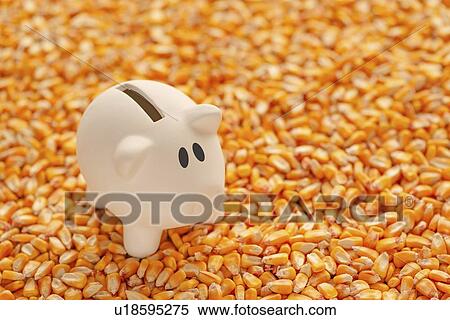 Stock Photography - Piggy bank on pile of harvested corn seed. Fotosearch