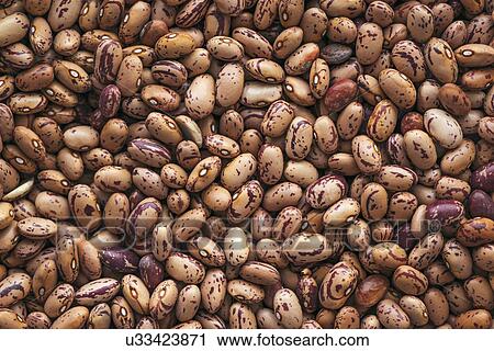 Pinto beans View Large Photo Image Stock Image - Pinto beans. Fotosearch