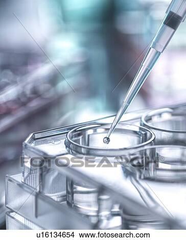 Pipetting sample View Large Photo Image Picture - Pipetting sample. Fotosearch