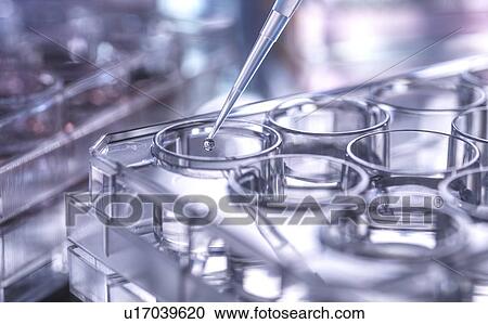 Pipetting sample View Large Photo Image Stock Image - Pipetting sample. Fotosearch