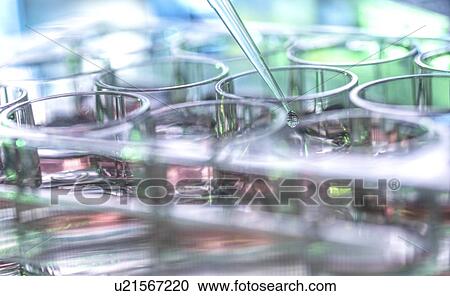 Stock Image - Pipetting sample. Fotosearch