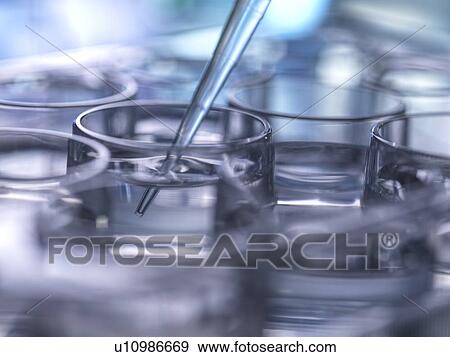 Pipetting sample View Large Photo Image Stock Photo - Pipetting sample. Fotosearch