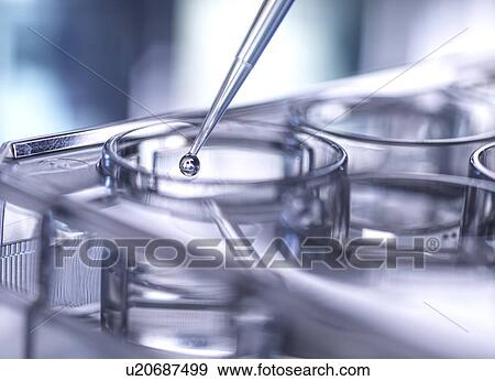 Stock Photo - Pipetting sample. Fotosearch