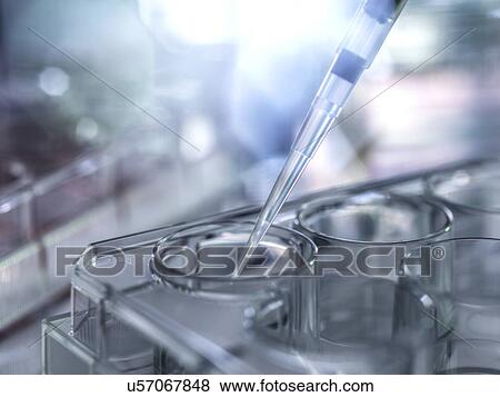Stock Photo - Pipetting sample. Fotosearch