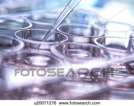 Pipetting sample View Large Photo Image Stock Photograph - Pipetting sample. Fotosearch