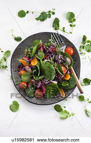 Plate of fresh salad made with raw vegetables View Large Photo Image Stock Image - Plate of fresh salad made with raw vegetables. Fotosearch
