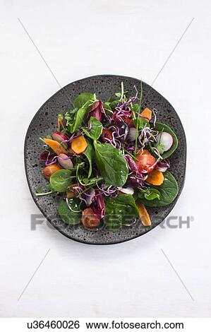 Stock Photograph - Plate of fresh salad made with raw vegetables. Fotosearch