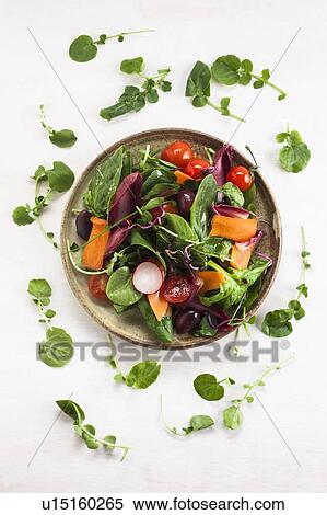 Plate of fresh salad made with raw vegetables View Large Photo Image Stock Photography - Plate of fresh salad made with raw vegetables. Fotosearch