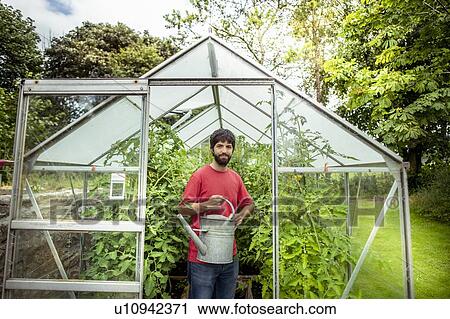 Portrait of gardener watering tomatoes in greenhouse in organic vegetable garden View Large Photo Image Stock Image - Portrait of gardener watering tomatoes in greenhouse in organic vegetable garden. Fotosearch