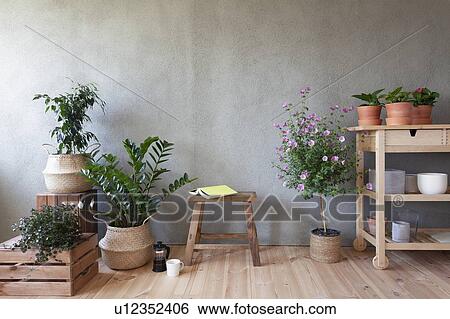 Potted plants and flowers, book on stool in indoor garden View Large Photo Image Stock Photograph - Potted plants and flowers, book on stool in indoor garden. Fotosearch