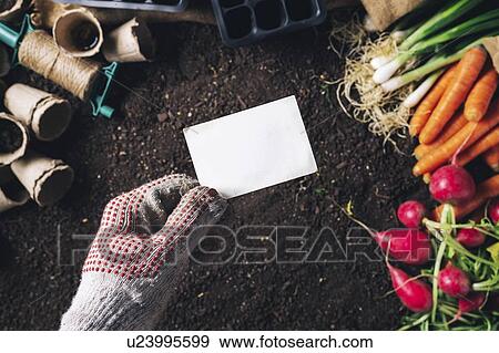 Stock Photo - Professional gardener, conceptual image. Fotosearch