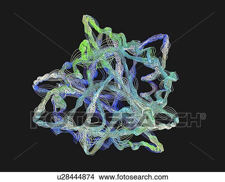 Picture - Protein, illustration. Fotosearch
