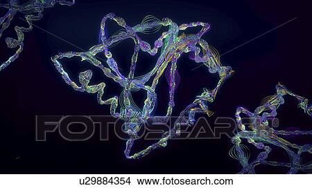 Protein, illustration View Large Photo Image Picture - Protein, illustration. Fotosearch