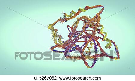 Protein, illustration View Large Photo Image Stock Image - Protein, illustration. Fotosearch