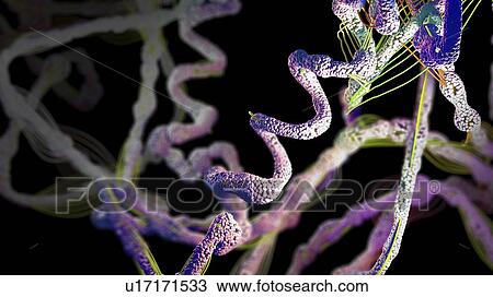 Stock Image - Protein, illustration. Fotosearch