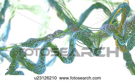 Stock Image - Protein, illustration. Fotosearch