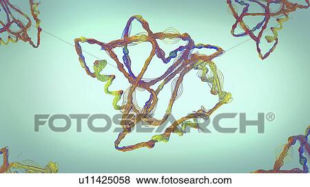 Stock Photo - Protein, illustration. Fotosearch