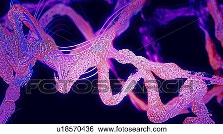 Stock Photograph - Protein, illustration. Fotosearch