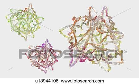 Stock Photograph - Protein, illustration. Fotosearch