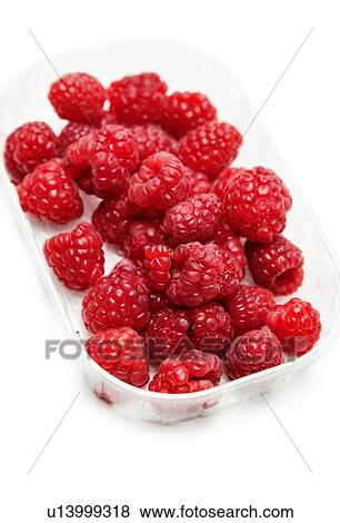 Punnet of raspberries View Large Photo Image Stock Photo - Punnet of raspberries. Fotosearch
