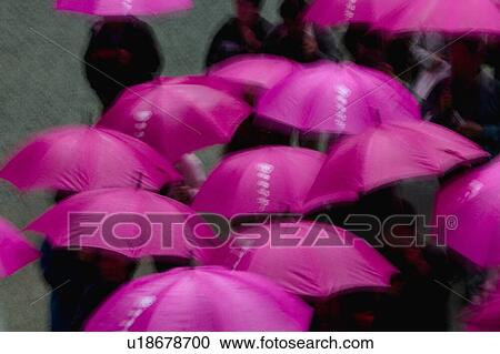 Stock Image - Purple umbrellas in the rain. Fotosearch