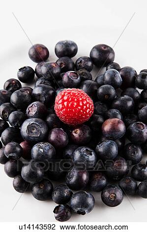 Raspberry on blueberry pile View Large Photo Image Stock Image - Raspberry on blueberry pile. Fotosearch