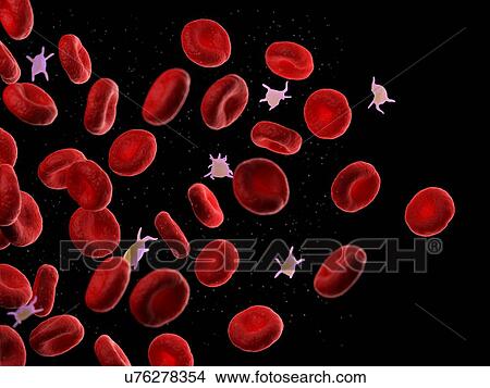 Red blood cells and platelets, illustration View Large Photo Image Picture - Red blood cells and platelets, illustration. Fotosearch