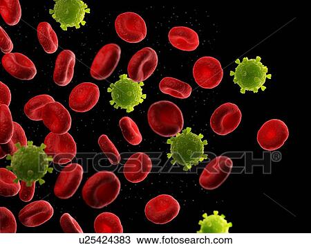 Stock Image - Red blood cells and viruses, illustration. Fotosearch