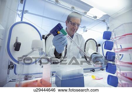 Stock Photograph - Scientist pipetting liquid in an anaerobic cabinet in laboratory. Fotosearch