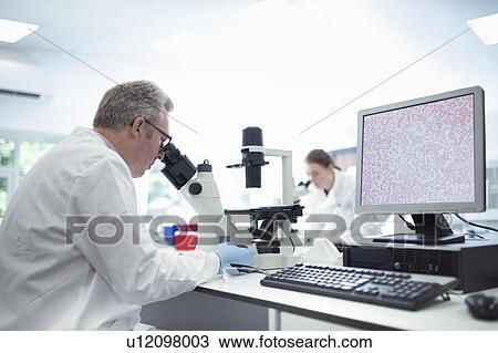 Stock Image - Scientists inspecting bacterial growth under microscopes in laboratory. Fotosearch