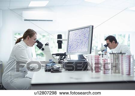 Stock Photo - Scientists inspecting bacterial growth under microscopes in laboratory. Fotosearch
