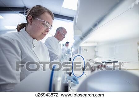 Scientists working with anaerobic cabinets in laboratory View Large Photo Image Stock Image - Scientists working with anaerobic cabinets in laboratory. Fotosearch
