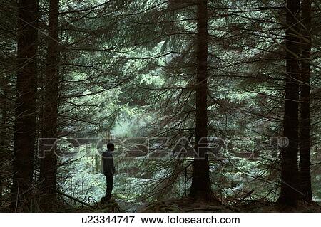Silhouette of man standing in forest View Large Photo Image Stock Photo - Silhouette of man standing in forest. Fotosearch